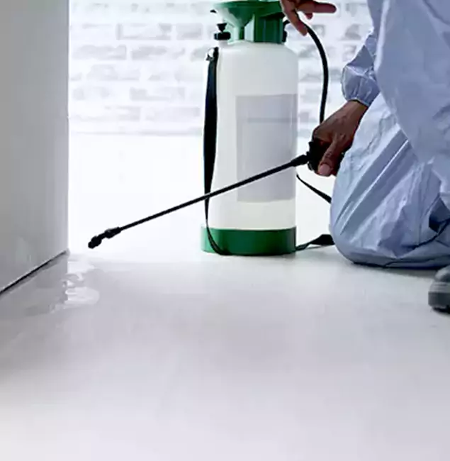 Why Choose Roseburg Pest Control Pro for Rat Exterminator in Roseburg, OR?