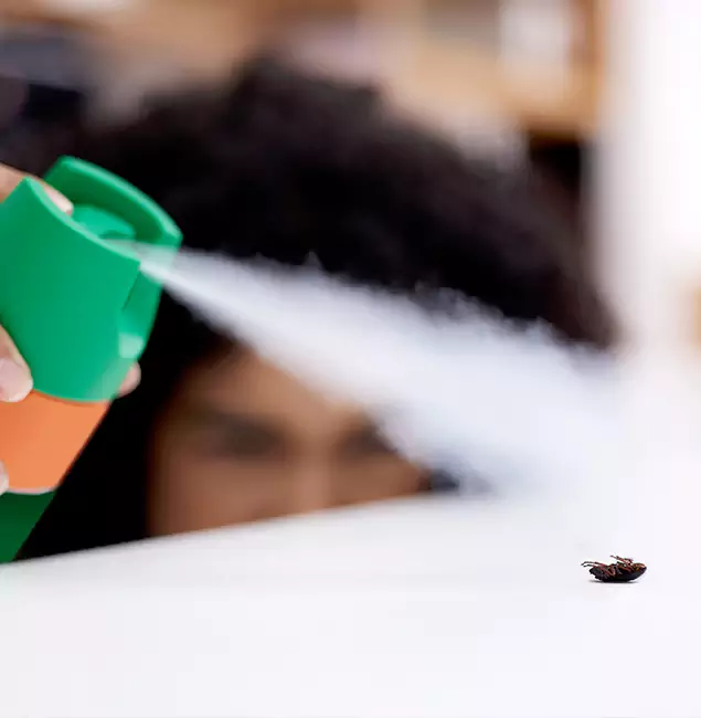 Why Roseburg, OR Homeowners Choose Roseburg Pest Control Pro for Roach Pest Control?