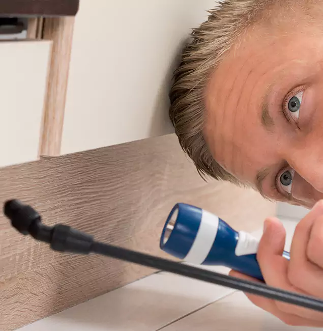 Why Choose Roseburg Pest Control Pro for Rodent Exterminator in Roseburg, OR?