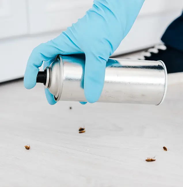 Why Choose Roseburg Pest Control Pro for Safe Bed Bug Treatment in Roseburg, OR?