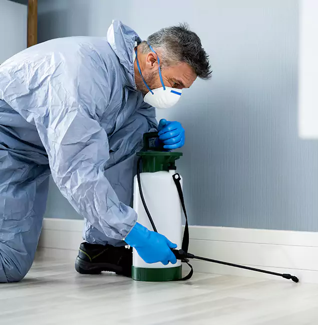 Why Choose Roseburg Pest Control Pro for Subterranean Termites Treatment in Roseburg, OR?