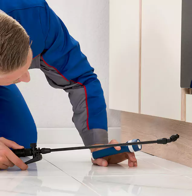 Why Roseburg Residents Choose Roseburg Pest Control Pro to Get Rid of Sugar Ants?
