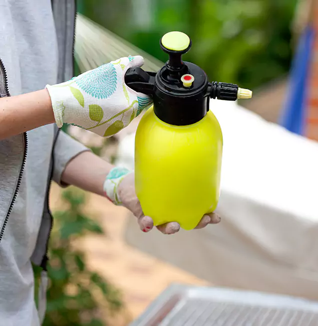 Why Choose Us: Roseburg Pest Control Pro Termite Spraying Experts in Roseburg, OR?