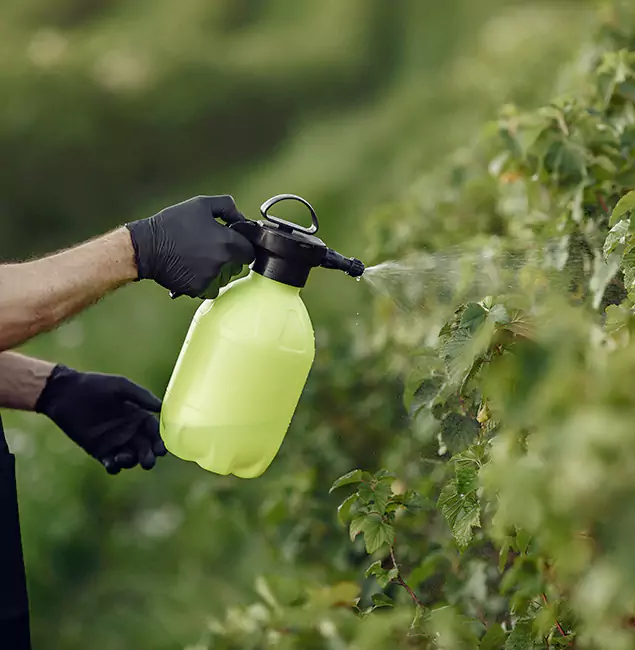 Why Roseburg Homeowners Choose Roseburg Pest Control Pro for Yard Tick Treatment?