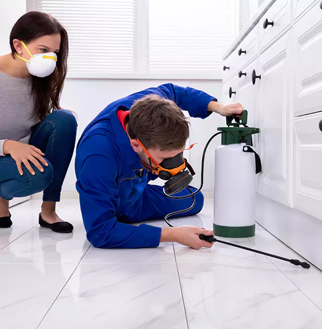 Why Choose Wood Termite Treatment by Roseburg Pest Control Pro in Roseburg, OR?
