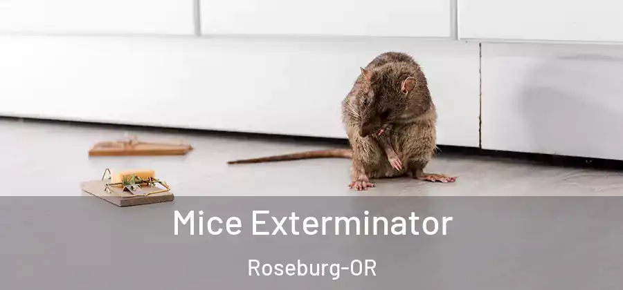 Mice Exterminator Roseburg-OR