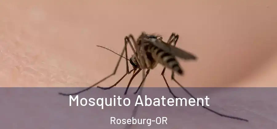 Mosquito Abatement Roseburg-OR