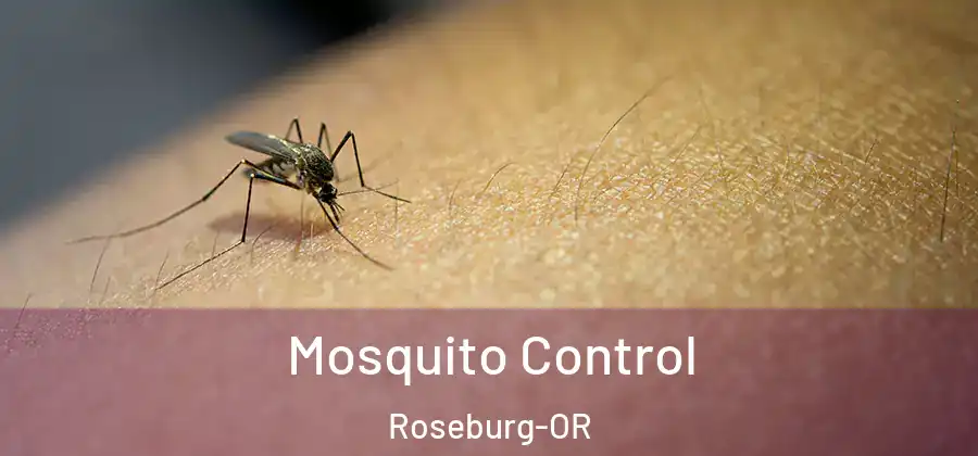 Mosquito Control Roseburg-OR