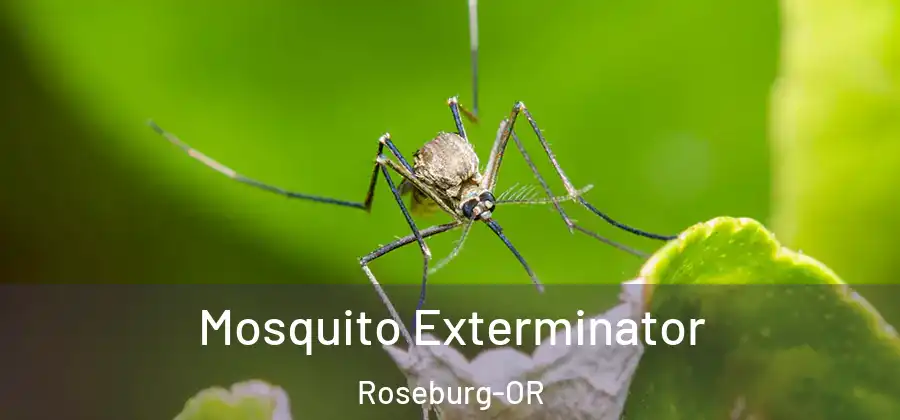 Mosquito Exterminator Roseburg-OR