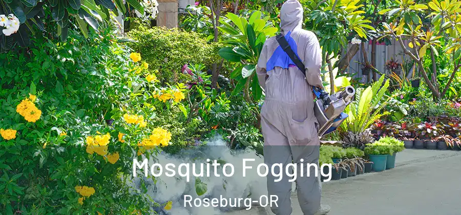  Mosquito Fogging Roseburg-OR