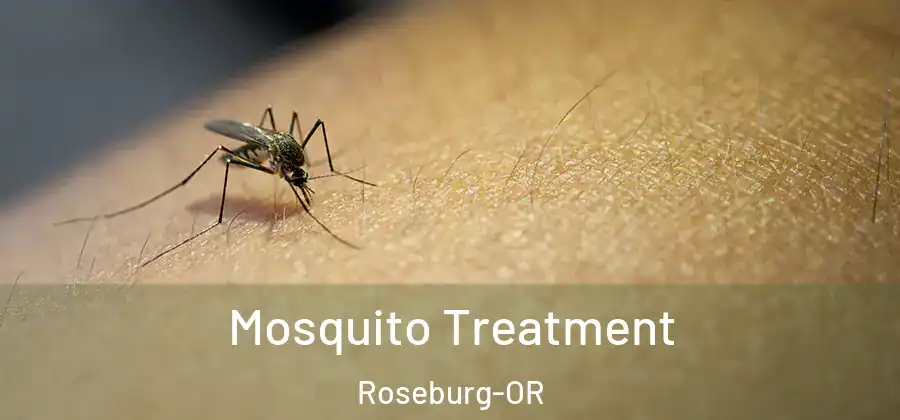 Mosquito Treatment Roseburg-OR