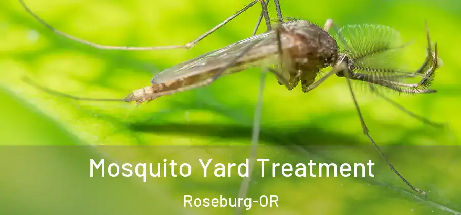 Mosquito Yard Treatment Roseburg-OR