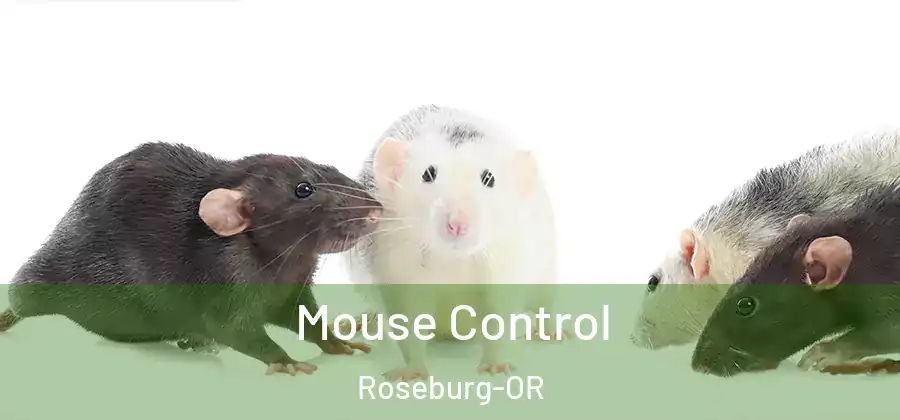  Mouse Control Roseburg-OR