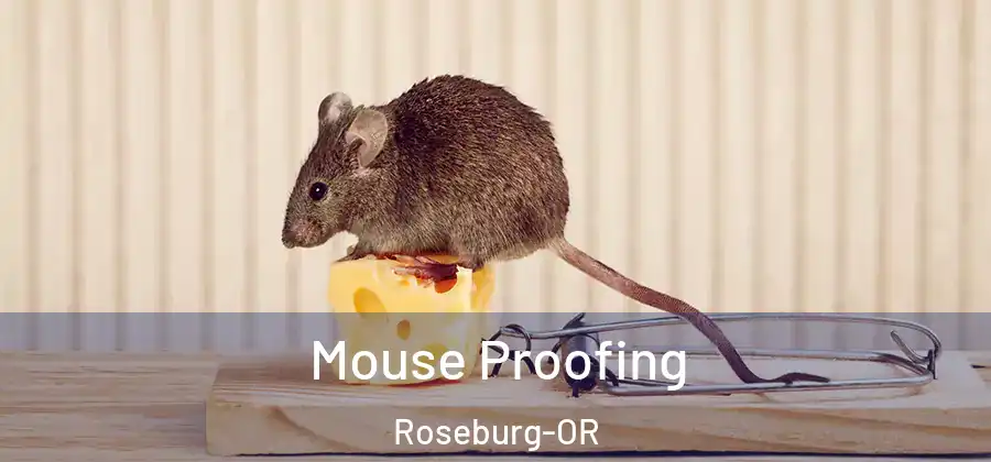  Mouse Proofing Roseburg-OR