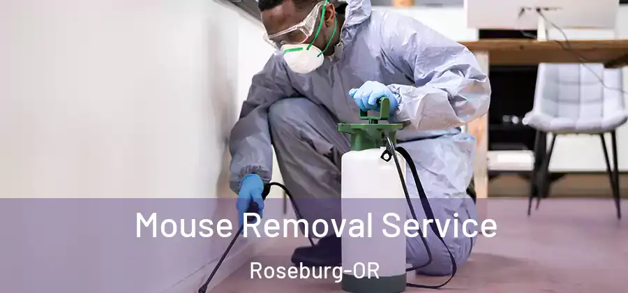  Mouse Removal Service Roseburg-OR