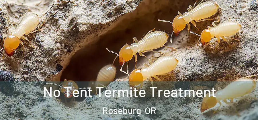 No Tent Termite Treatment Roseburg-OR