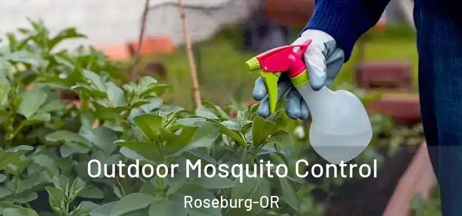 Outdoor Mosquito Control Roseburg-OR