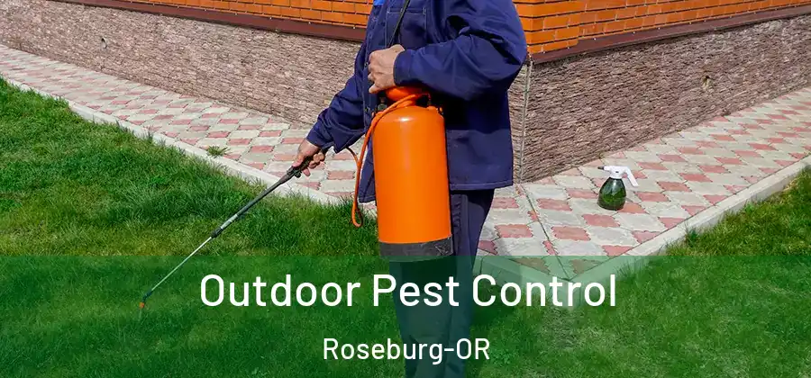 Outdoor Pest Control Roseburg-OR