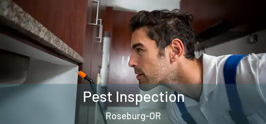 Pest Inspection Roseburg-OR