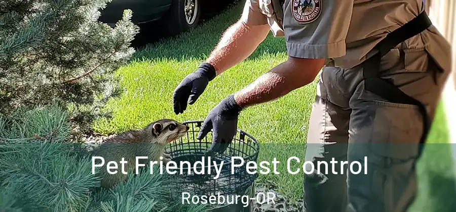  Pet Friendly Pest Control Roseburg-OR