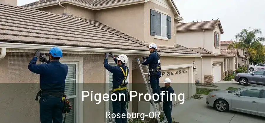 Pigeon Proofing Roseburg-OR