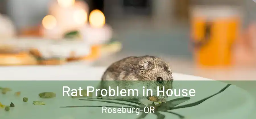  Rat Problem in House Roseburg-OR