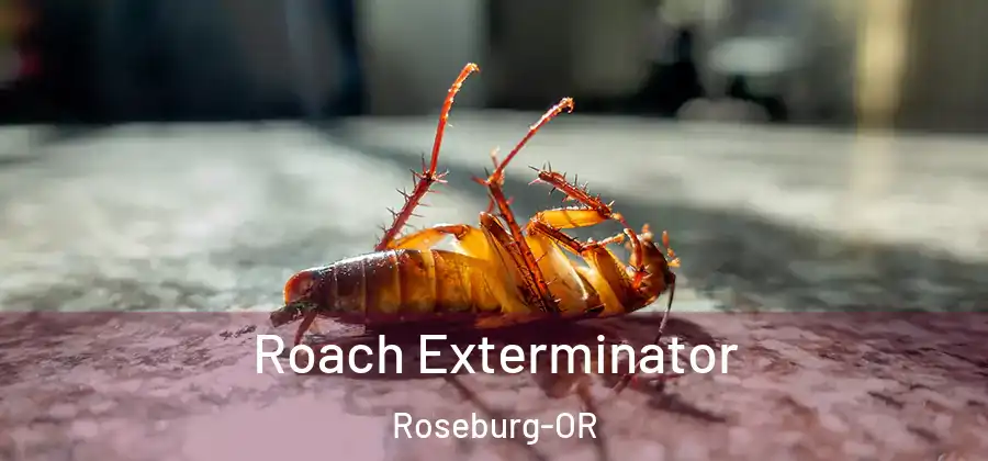  Roach Exterminator Roseburg-OR