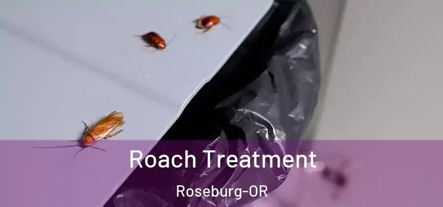 Roach Treatment Roseburg-OR
