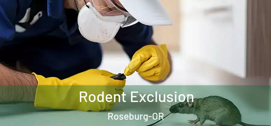 Rodent Exclusion Roseburg-OR