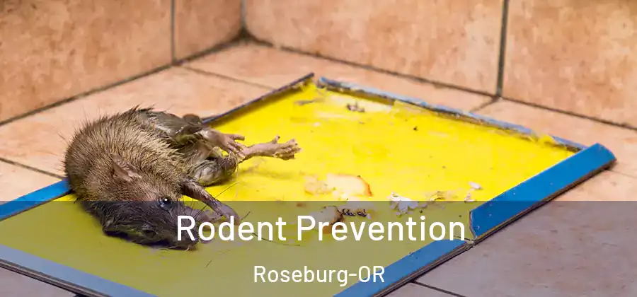 Rodent Prevention Roseburg-OR