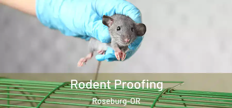 Rodent Proofing Roseburg-OR