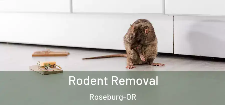 Rodent Removal Roseburg-OR