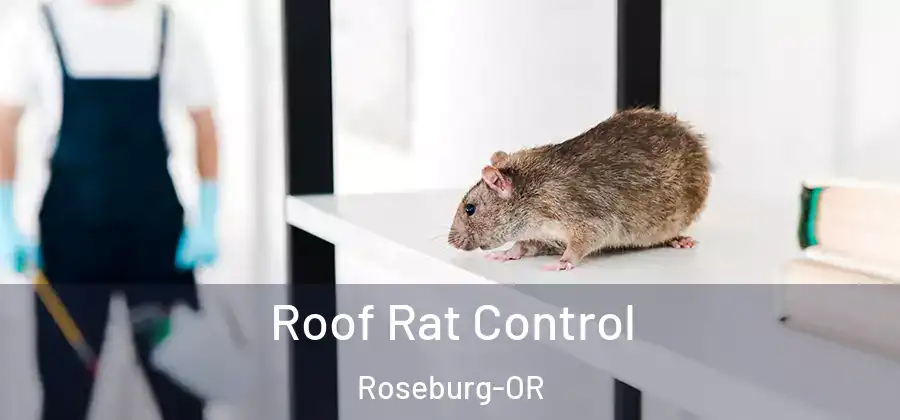 Roof Rat Control Roseburg-OR