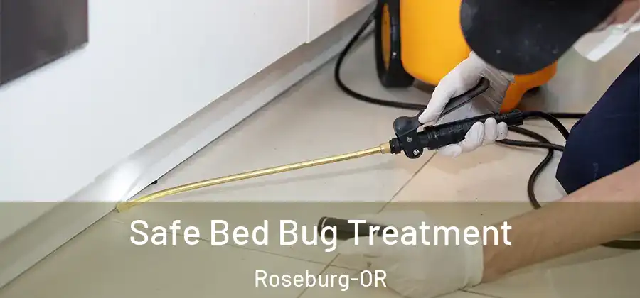 Safe Bed Bug Treatment Roseburg-OR