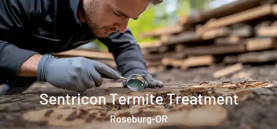  Sentricon Termite Treatment Roseburg-OR
