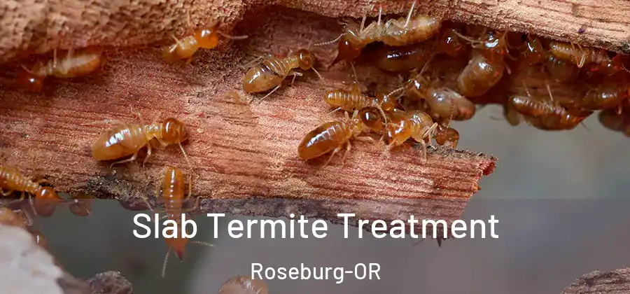 Slab Termite Treatment Roseburg-OR