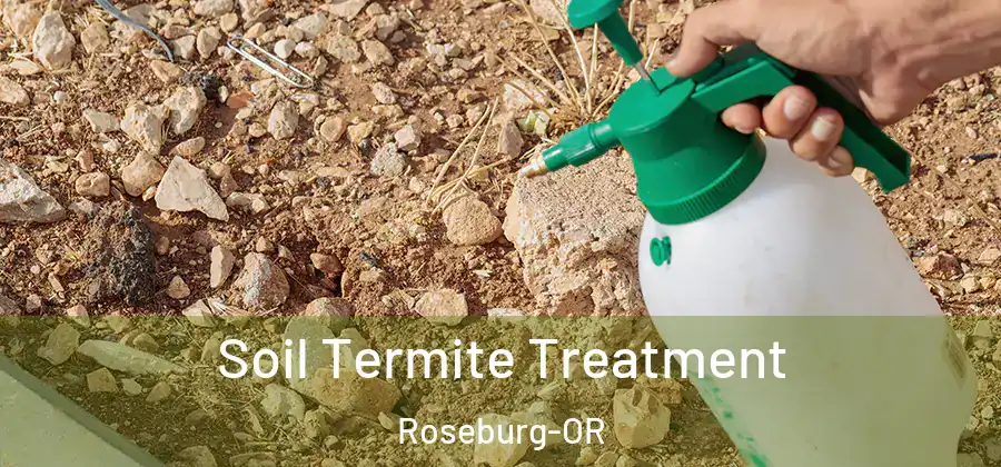 Soil Termite Treatment Roseburg-OR