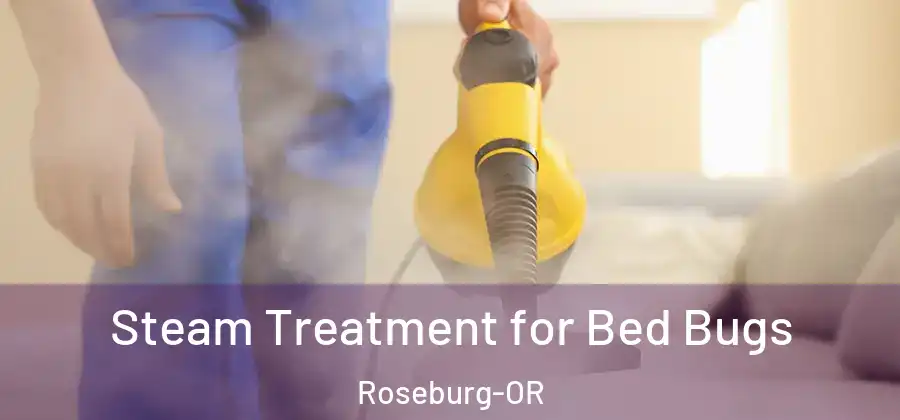 Steam Treatment for Bed Bugs Roseburg-OR