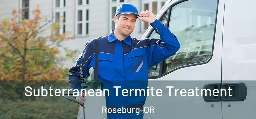 Subterranean Termite Treatment Roseburg-OR