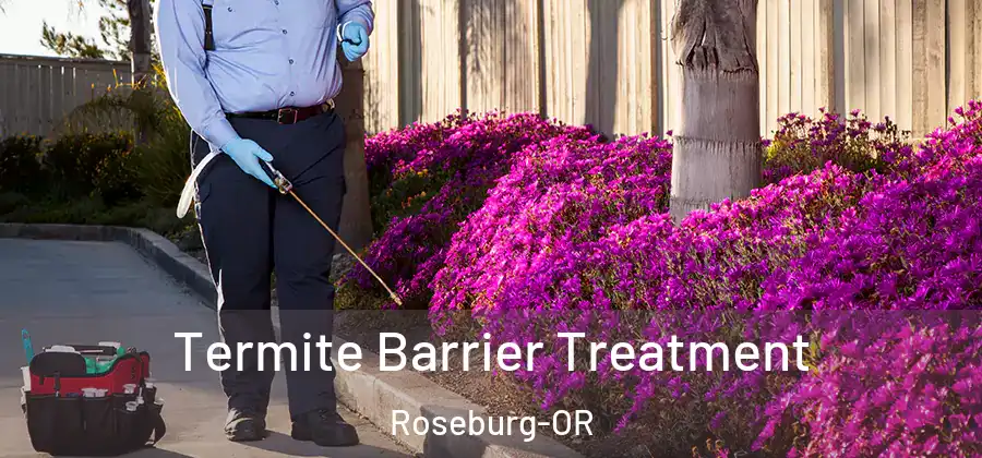 Termite Barrier Treatment Roseburg-OR