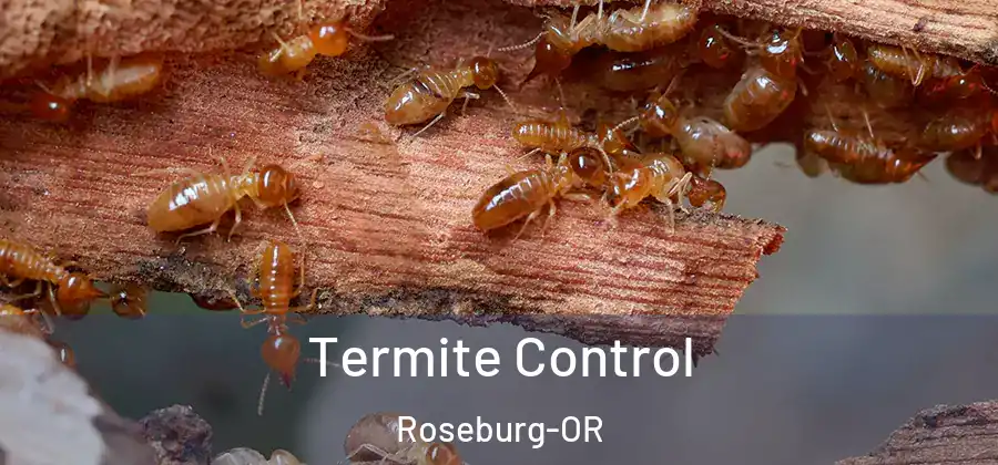  Termite Control Roseburg-OR