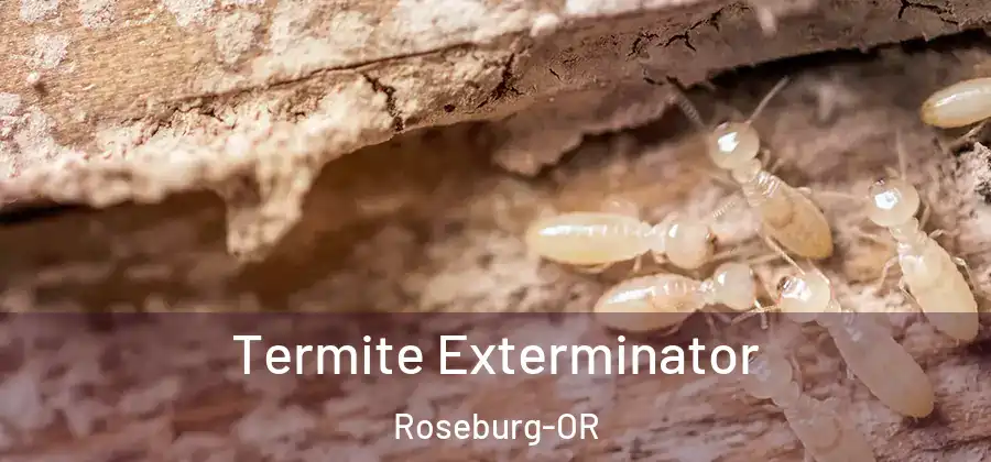 Termite Exterminator Roseburg-OR