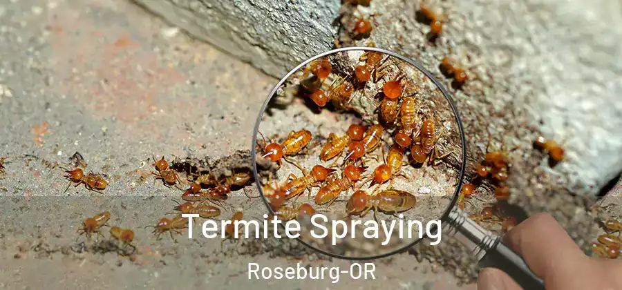 Termite Spraying Roseburg-OR