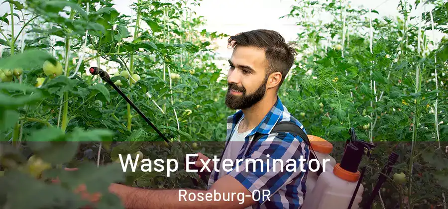 Wasp Exterminator Roseburg-OR