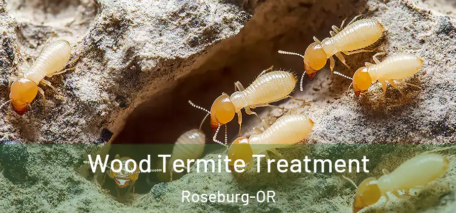 Wood Termite Treatment Roseburg-OR
