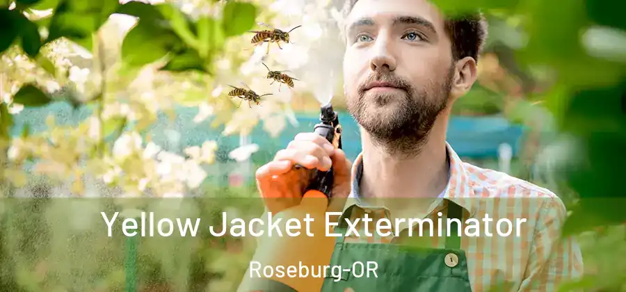 Yellow Jacket Exterminator Roseburg-OR