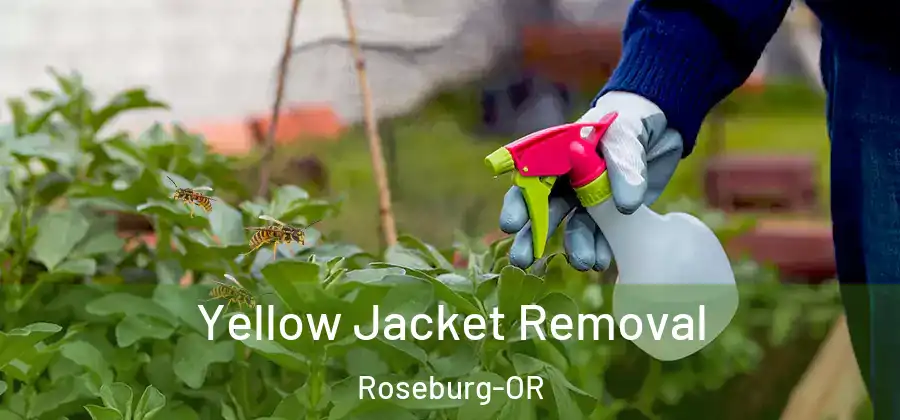 Yellow Jacket Removal Roseburg-OR